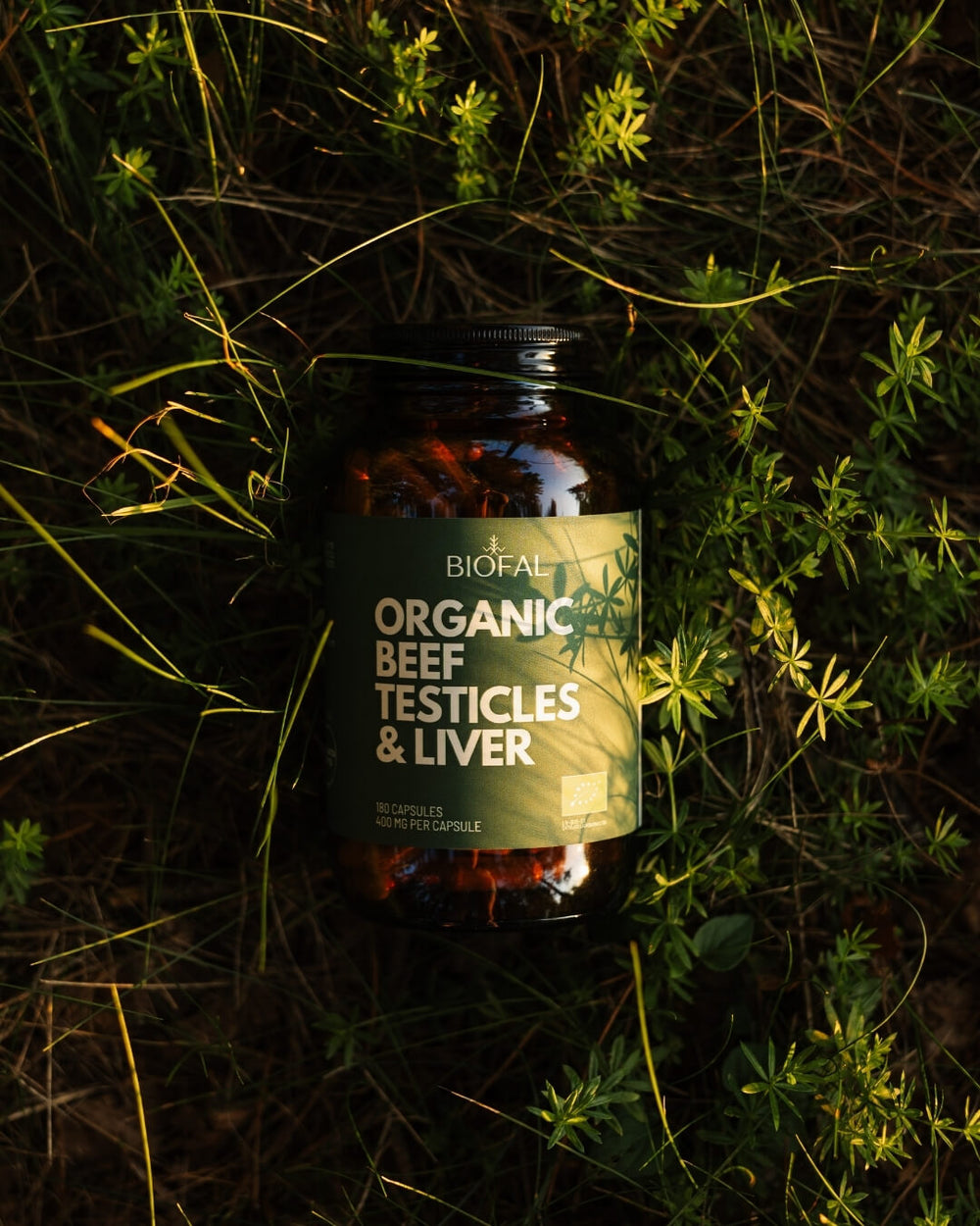 organic-beef-testicles-and-liver